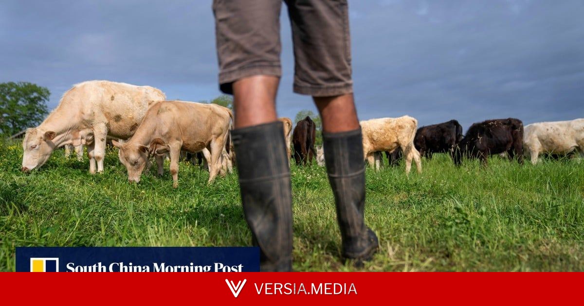 USDA lowers reported beef export sales by 90% amid growing doubts over data