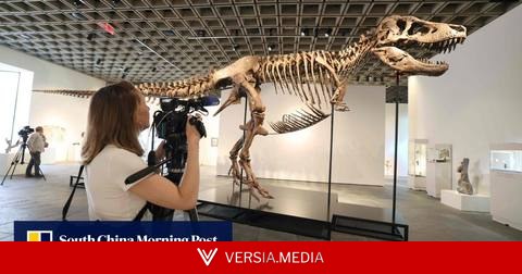 ‘Gus’ the T. rex fetches record US$50.1 million at US auction