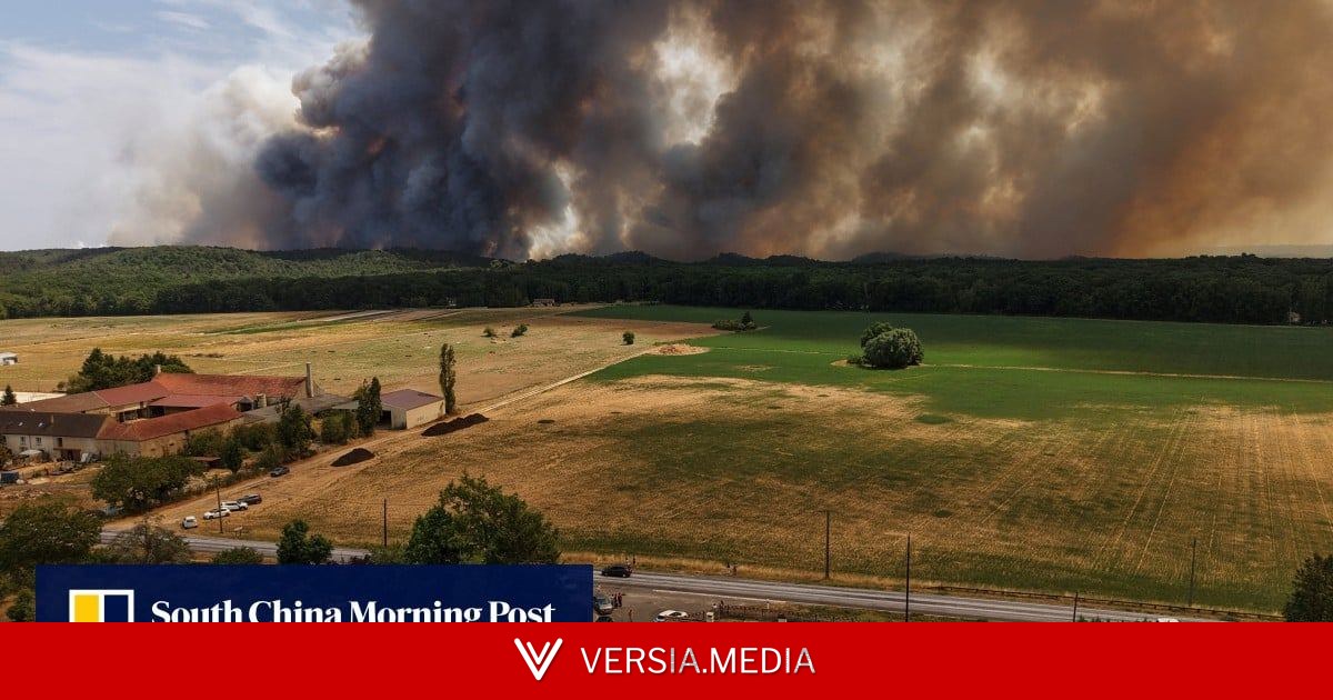 Wildfires scorch historic forest near Paris as suspected arsonists arrested