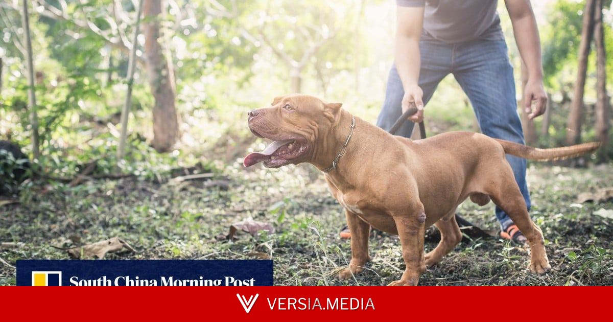 Girl in Germany dies after family dog bites her