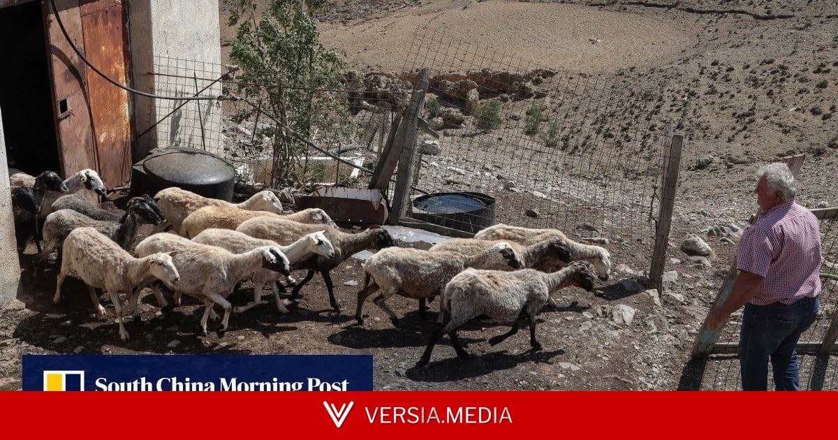 4 Greek MPs charged over multimillion EU farm fraud scandal